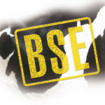 BSE - штемпельная краска для маркировки мяса