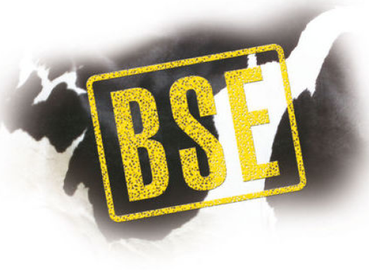 BSE - штемпельная краска для маркировки мяса